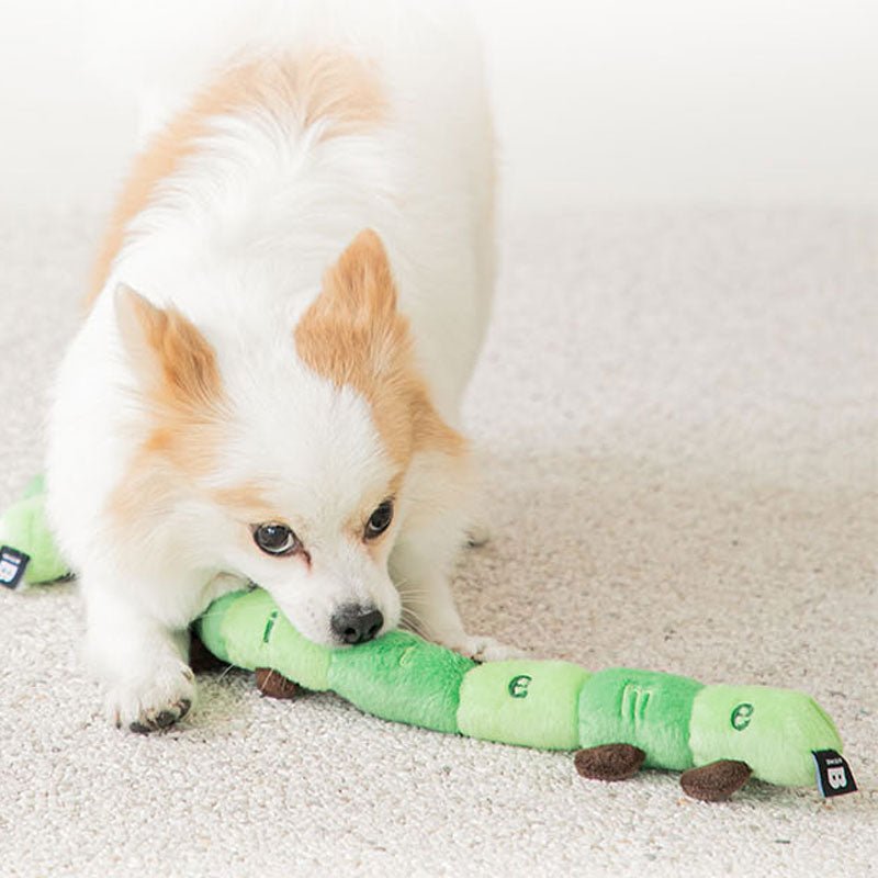 Bite Me Caterpillar Dog Tug Toy - CreatureLand