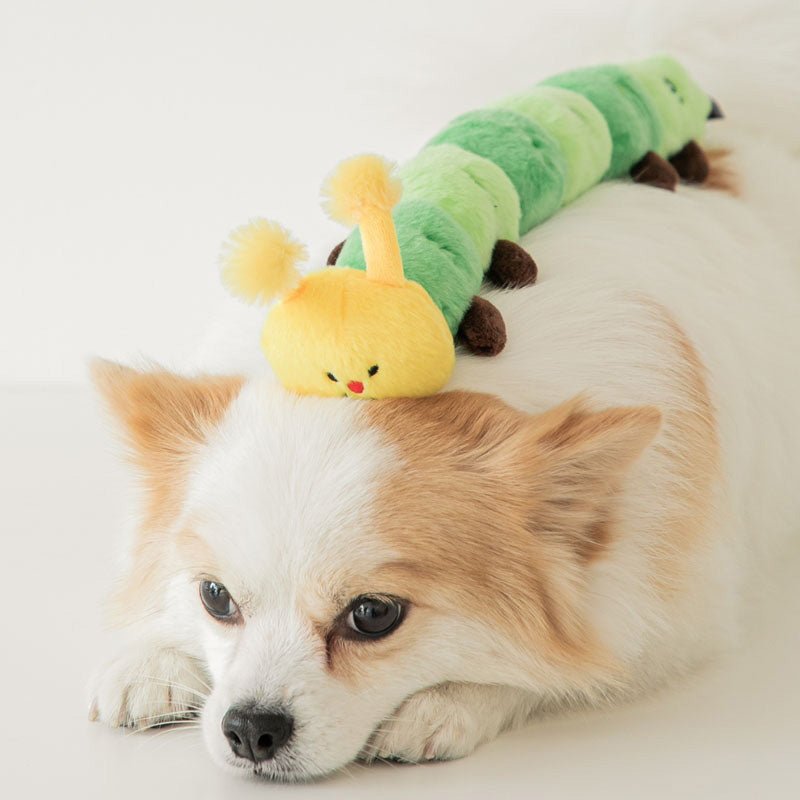 Bite Me Caterpillar Dog Tug Toy - CreatureLand