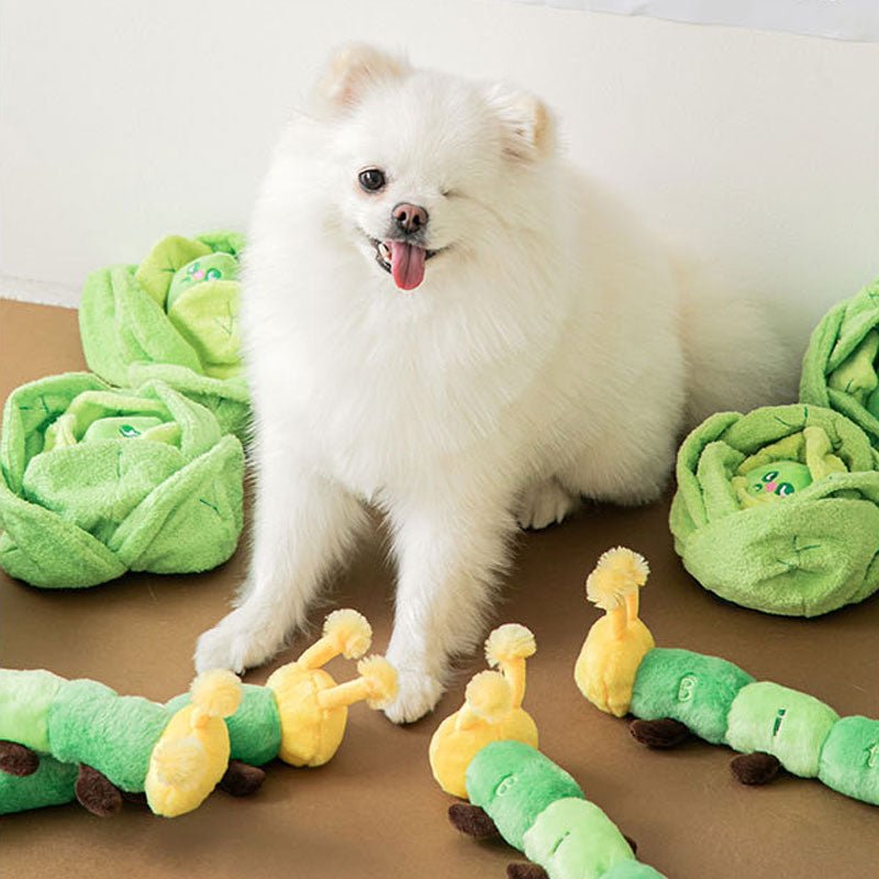 Bite Me Caterpillar Dog Tug Toy - CreatureLand