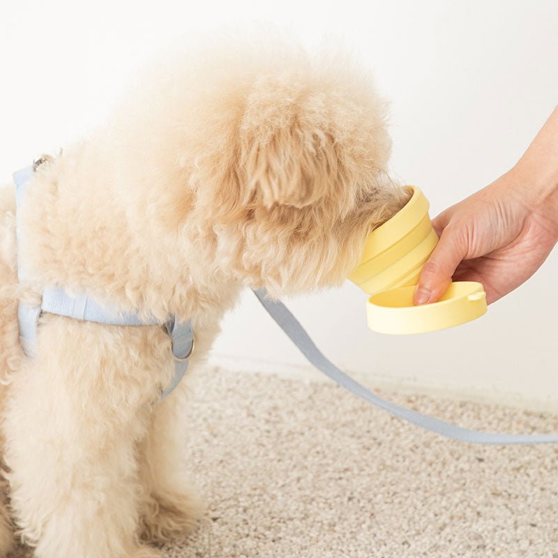 Bite Me Collapsible Water Cup - Pastel (4 Colours) - CreatureLand