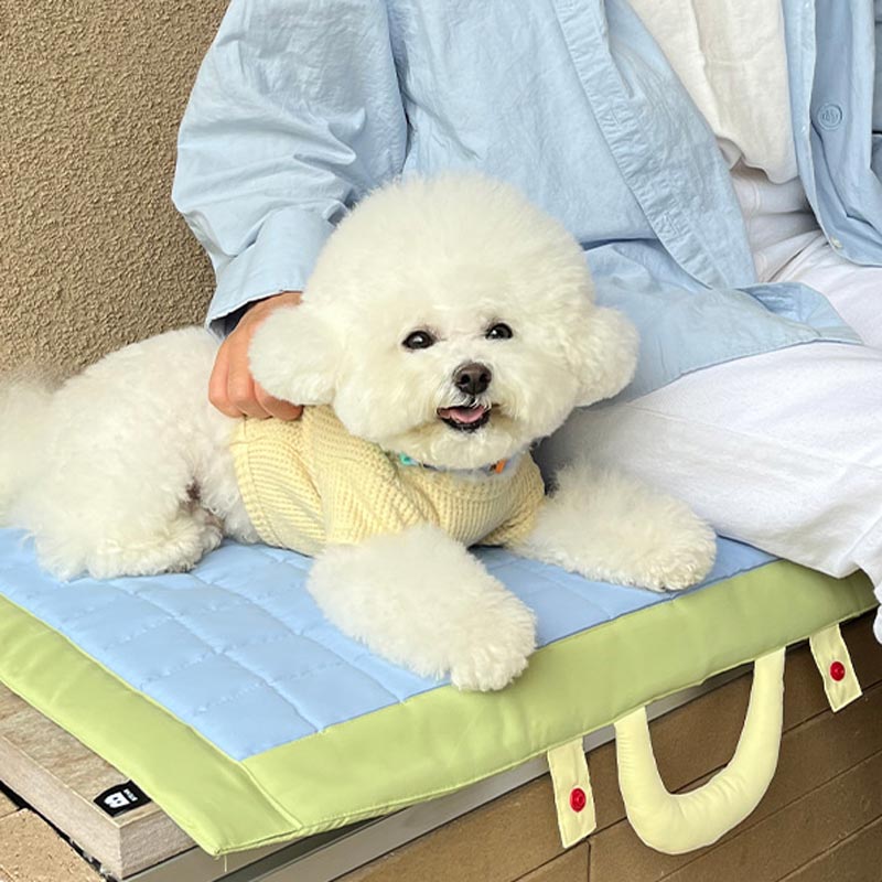 Bite Me Compact Picnic Mat (2 Colours) - CreatureLand