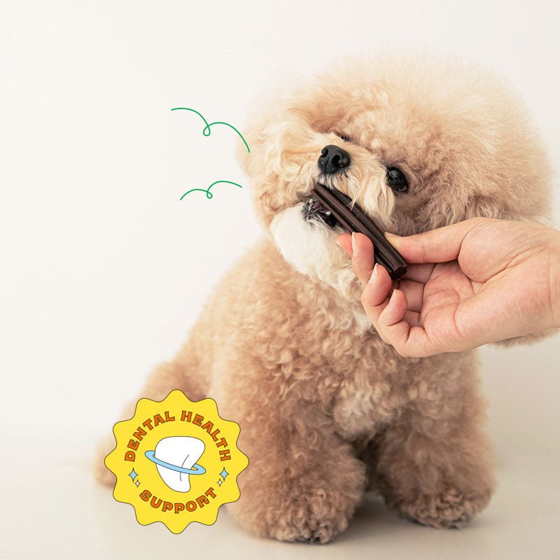 Bite Me Denti Stick - Calming (Vegetable) - CreatureLand