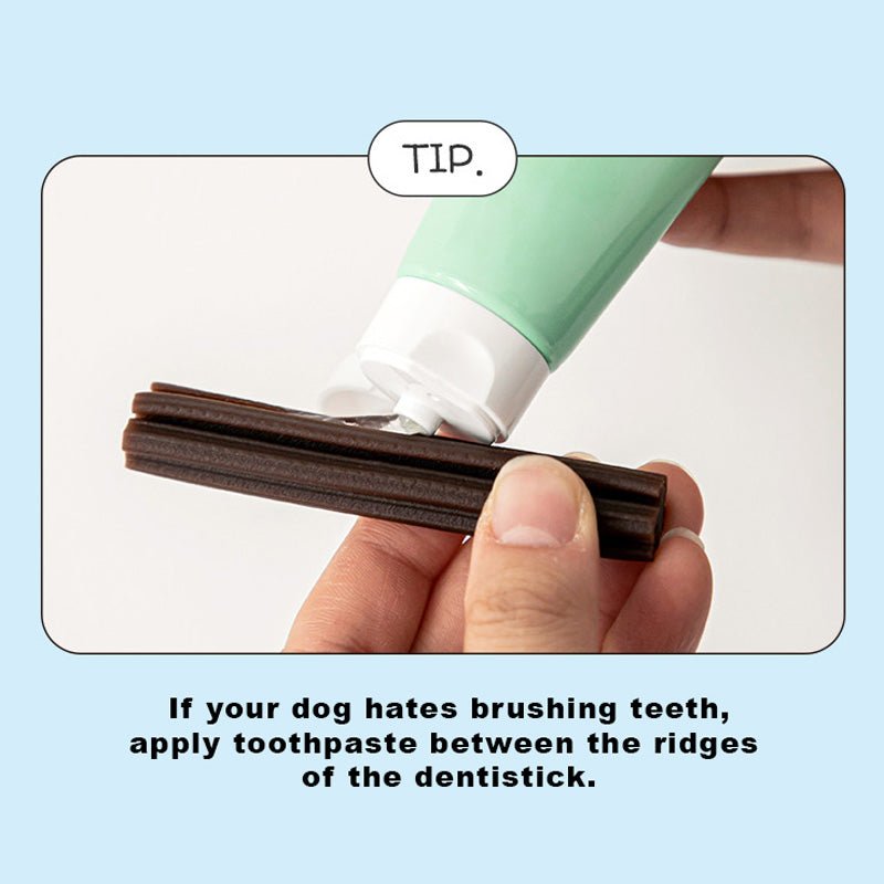 Bite Me Denti Stick - Calming (Vegetable) - CreatureLand