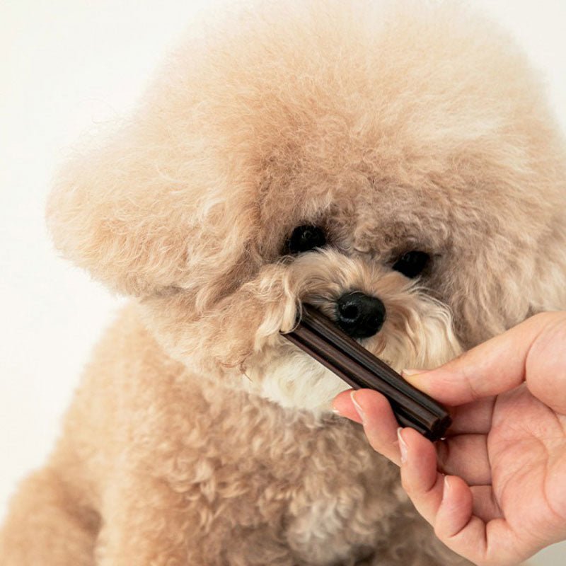 Bite Me Denti Stick - Hip & Joint (Original) - CreatureLand