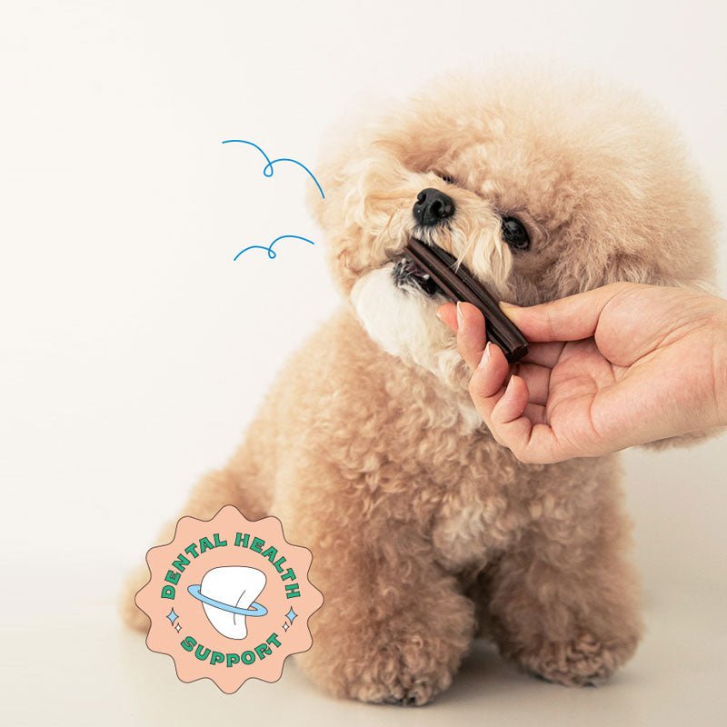 Bite Me Denti Stick - Hip & Joint (Original) - CreatureLand