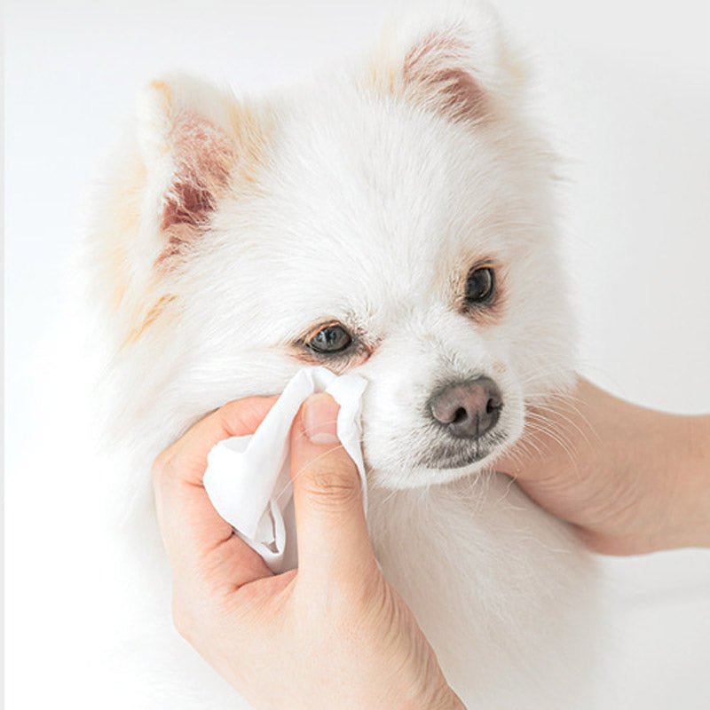 Bite Me Feelsogood Hypoallergenic Pet Tissue | 50 Pieces - CreatureLand