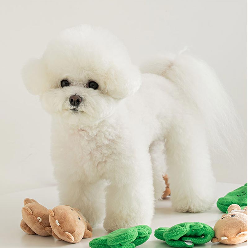 Bite Me Four-Leaf Squirrel Nosework Dog Toy - CreatureLand