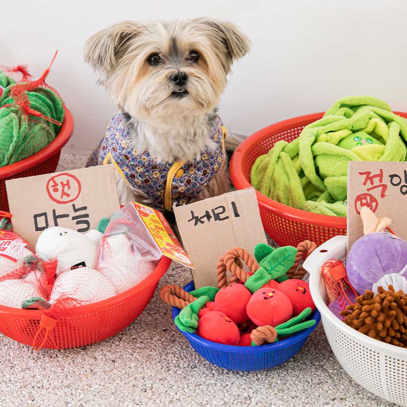 Bite Me Garlic Nosework Dog Toy - CreatureLand