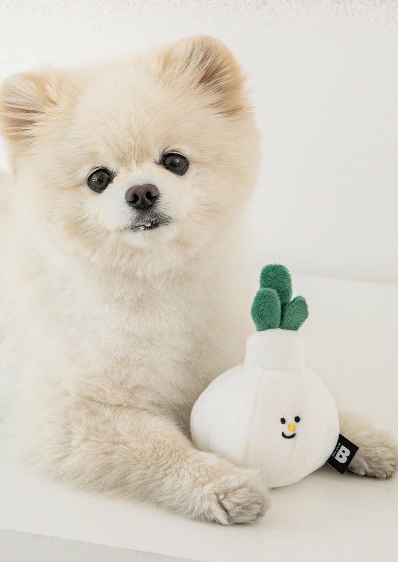 Bite Me Garlic Nosework Dog Toy - CreatureLand