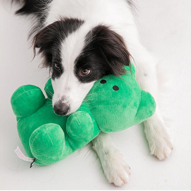 Bite Me Giant Gummy Bear Dog Toy - CreatureLand