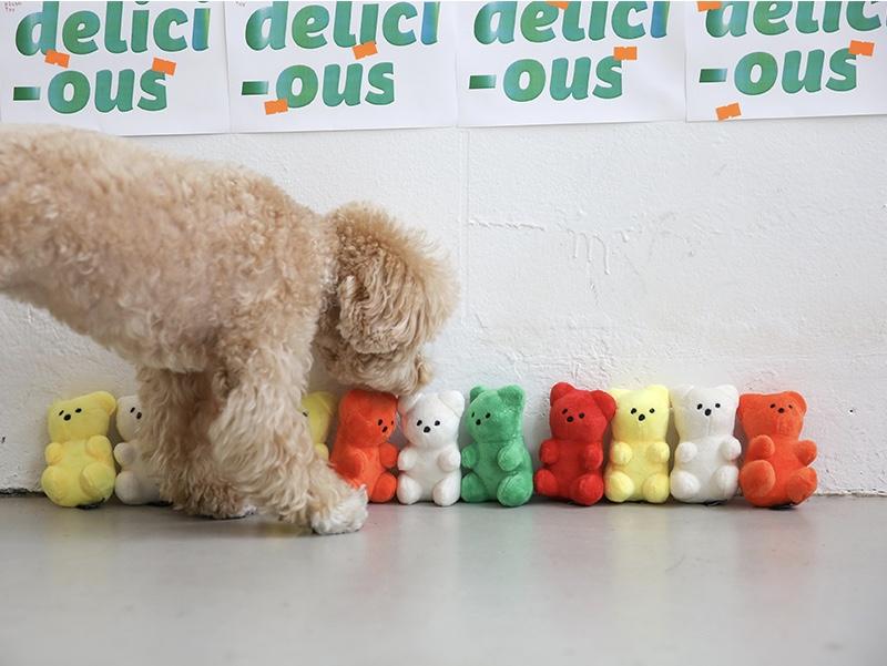 Bite Me Gummy Bear Dog Toy - CreatureLand