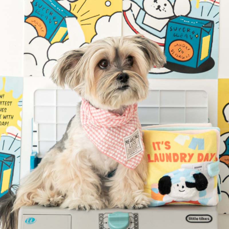Bite Me It's Laundry Day Playbook Nose Work Dog Toy - CreatureLand