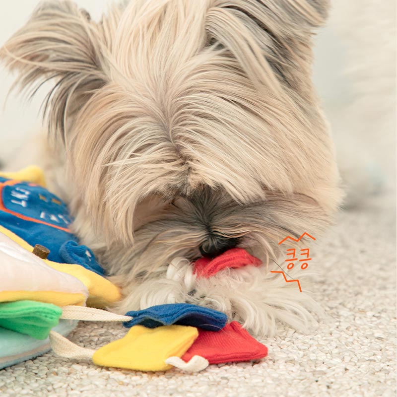 Bite Me It's Laundry Day Playbook Nose Work Dog Toy - CreatureLand