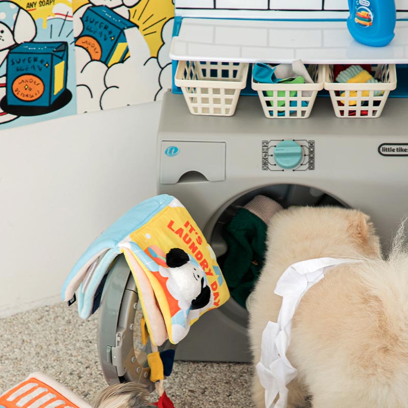 Bite Me It's Laundry Day Playbook Nose Work Dog Toy - CreatureLand