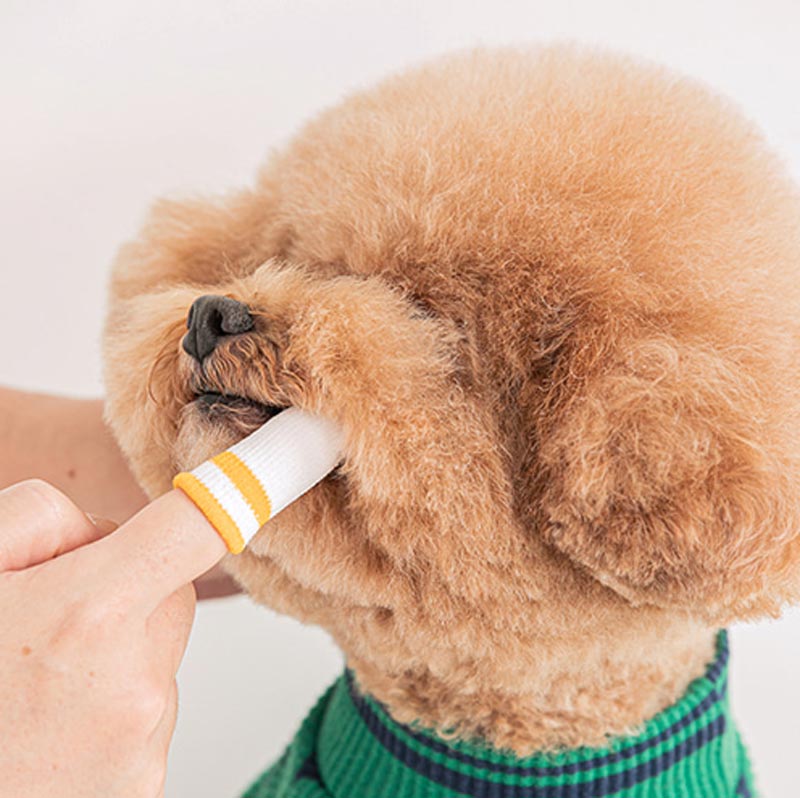 Bite Me Microfleece Finger Toothbrush - CreatureLand