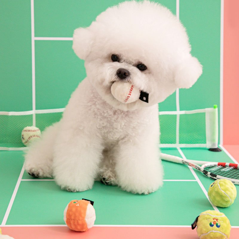 Bite Me Mini Sport Balls Dog Toy (Set of 3) - CreatureLand
