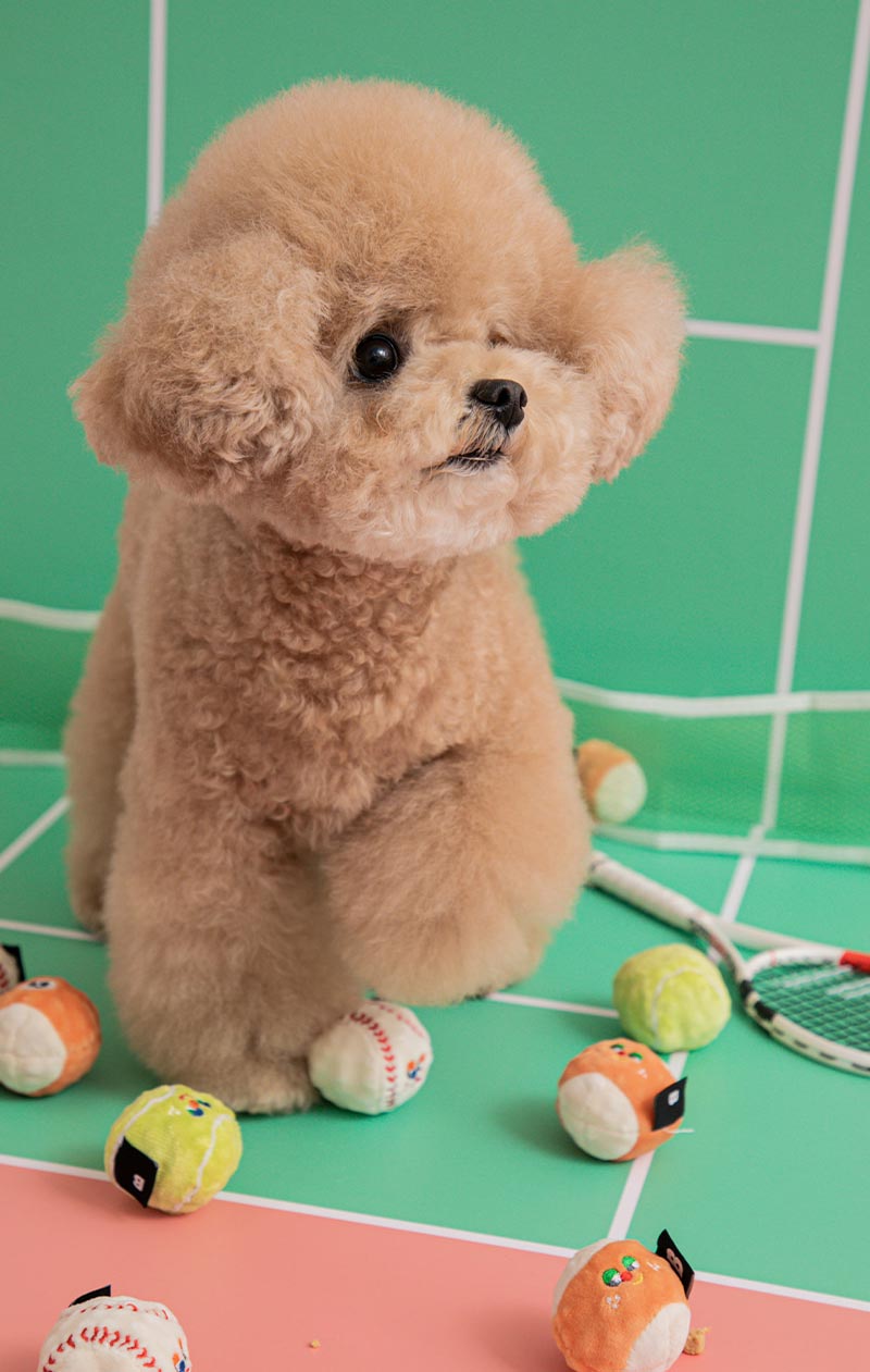 Bite Me Mini Sport Balls Dog Toy (Set of 3) - CreatureLand