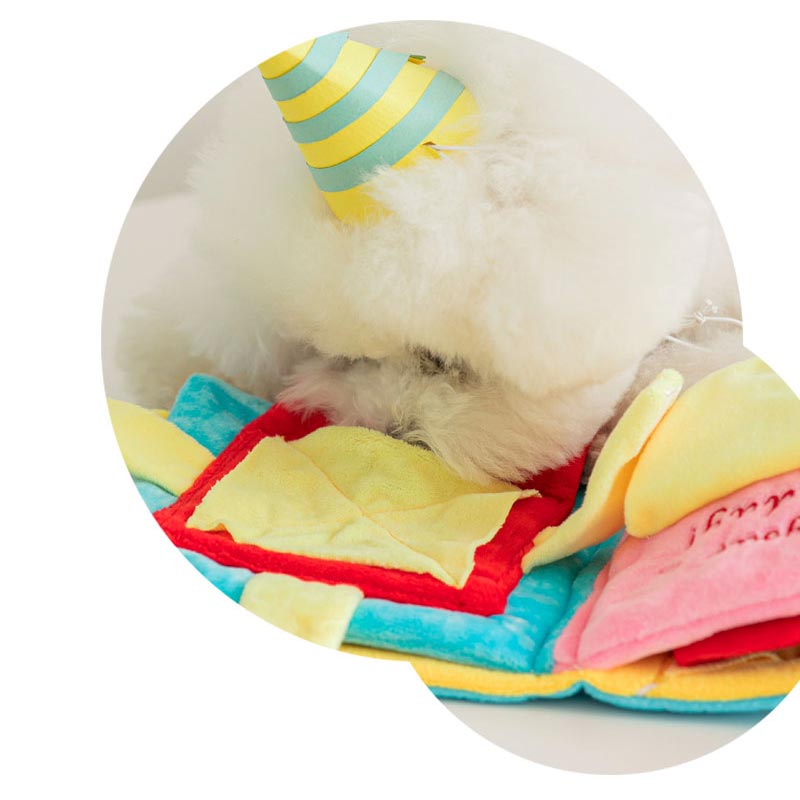 Bite Me My Birthday Playbook Nose Work Dog Toy - CreatureLand