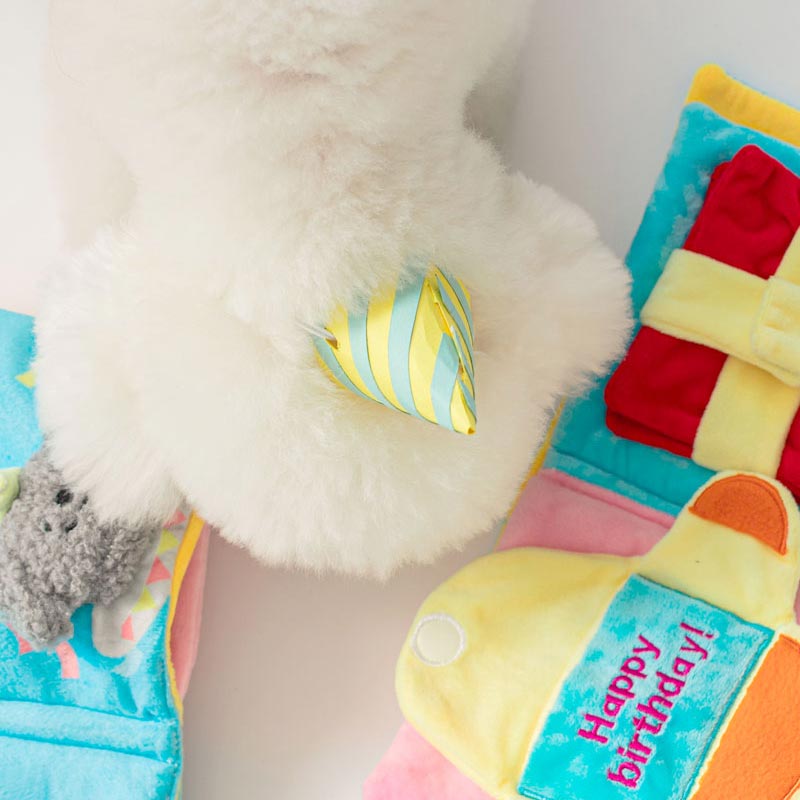 Bite Me My Birthday Playbook Nose Work Dog Toy - CreatureLand