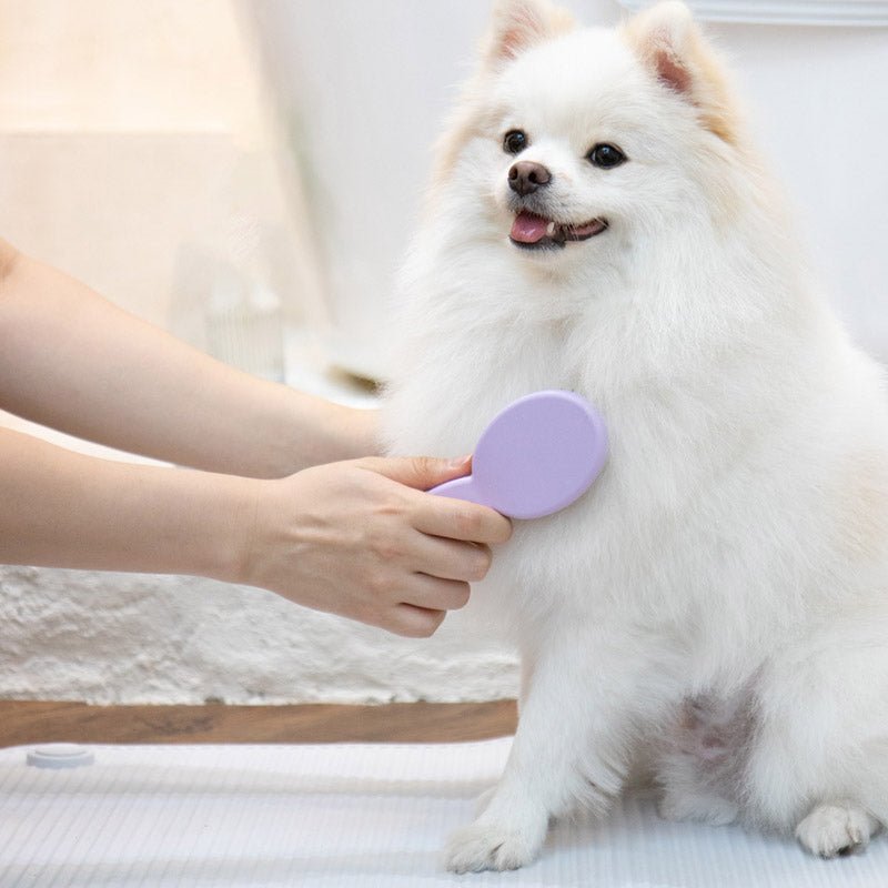 Bite Me Non-Slip Multi Bath Mat - CreatureLand