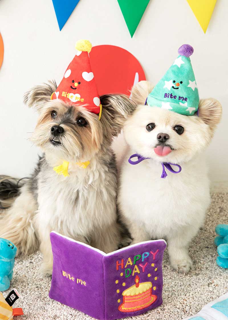 Bite Me Party Series - Conical Hat Dog Toy Set - CreatureLand