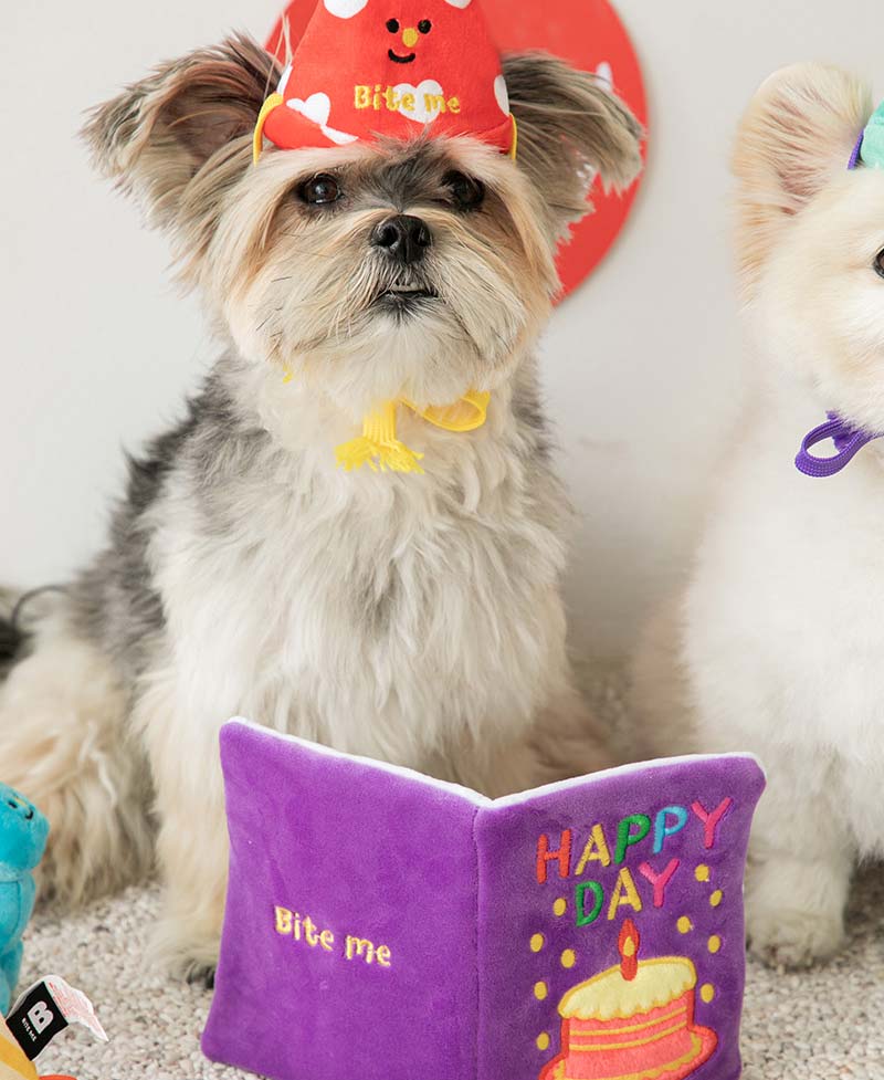 Bite Me Party Series - Conical Hat Dog Toy Set - CreatureLand