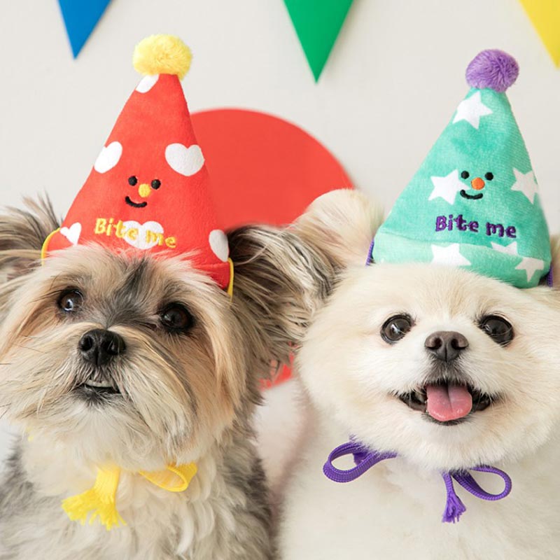 Bite Me Party Series - Conical Hat Dog Toy Set - CreatureLand