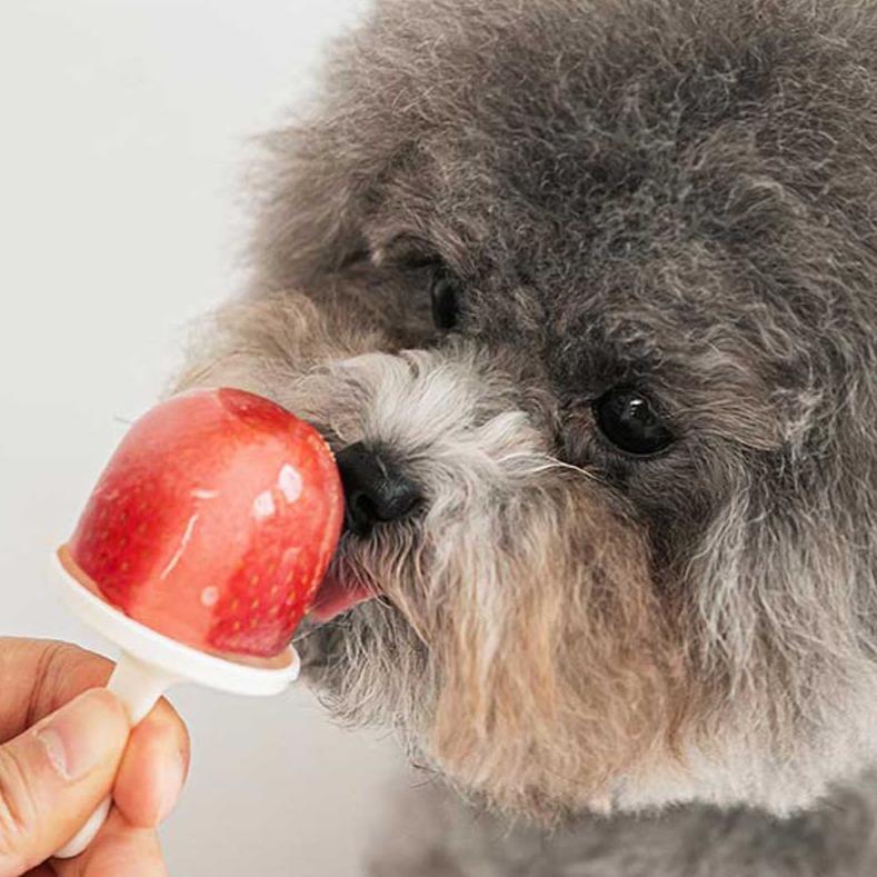 Bite Me Popsicle Mold - CreatureLand