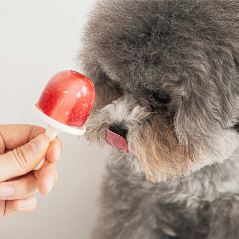 Bite Me Popsicle Mold - CreatureLand