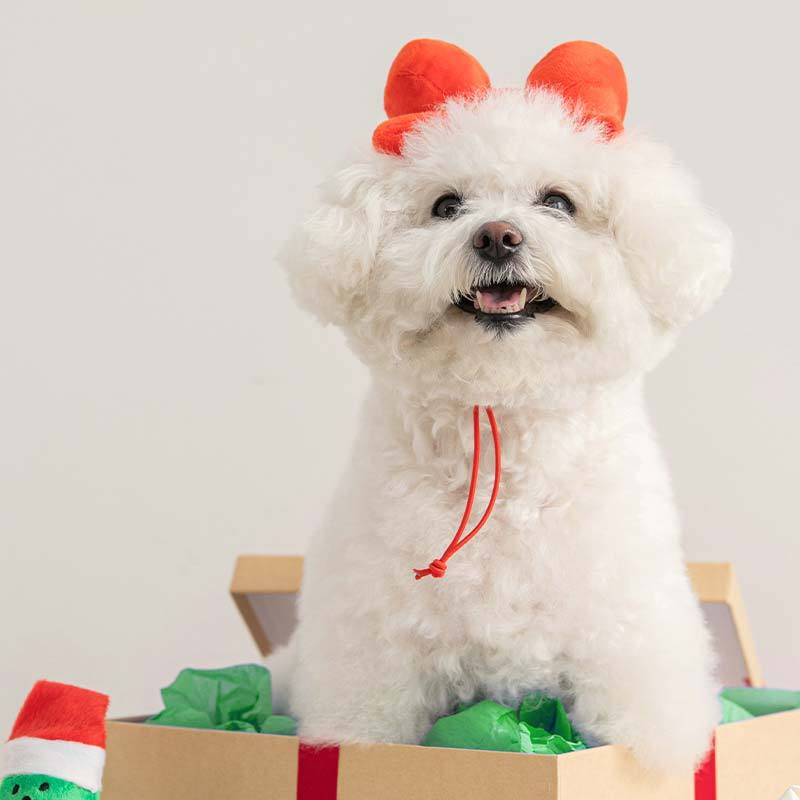 Bite Me Ribbon Headband Dog Toy - CreatureLand