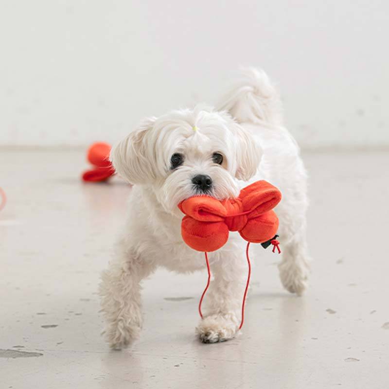 Bite Me Ribbon Headband Dog Toy - CreatureLand