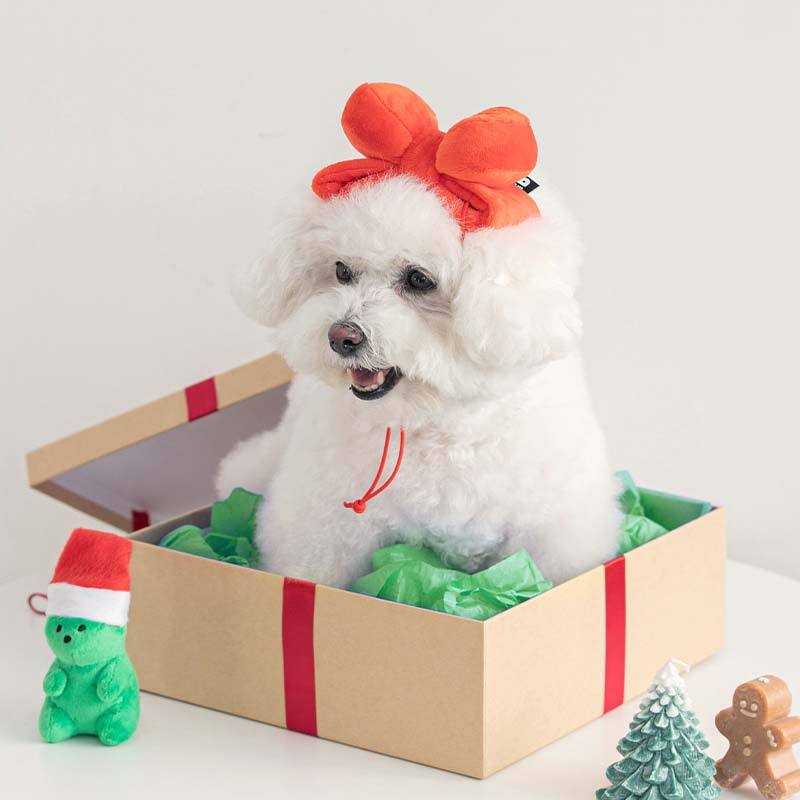 Bite Me Ribbon Headband Dog Toy - CreatureLand