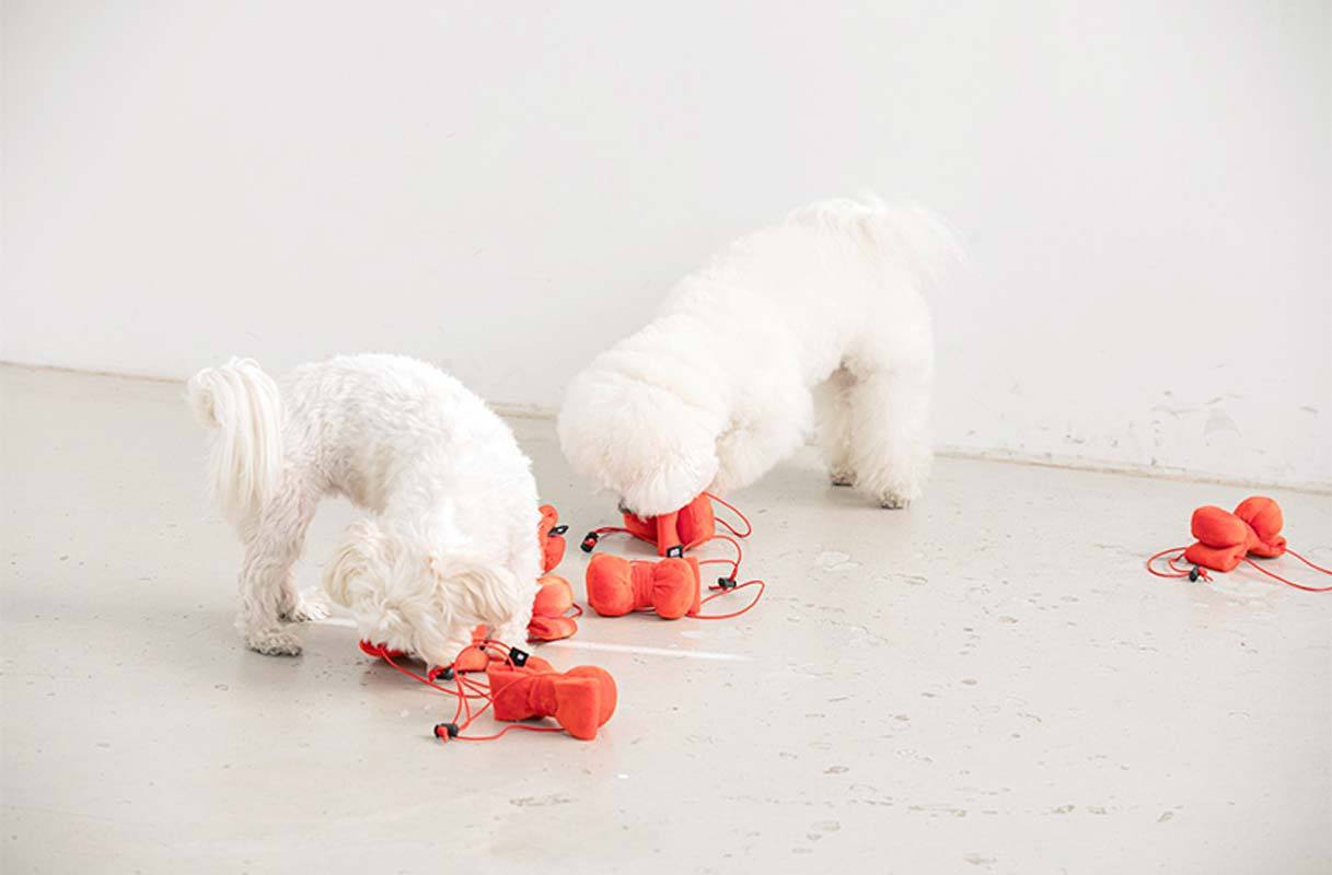 Bite Me Ribbon Headband Dog Toy - CreatureLand
