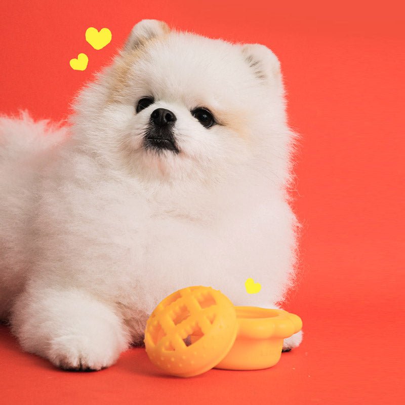 Bite Me Sniffy Pie Dog Nose Work Toy - CreatureLand