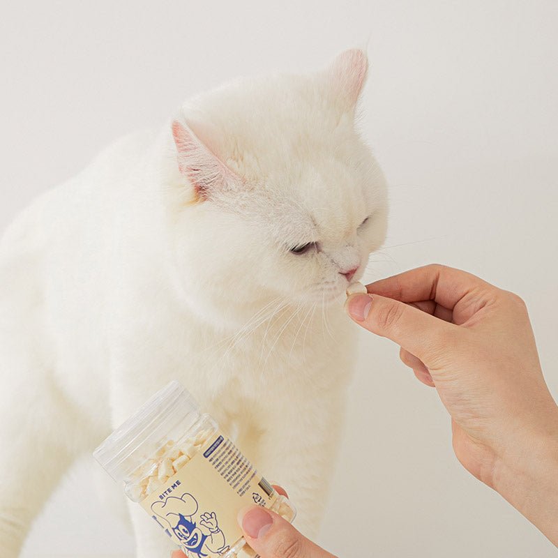 Bite Me Tiny Freeze Dried Treats & Toppers (3 Flavours) - CreatureLand