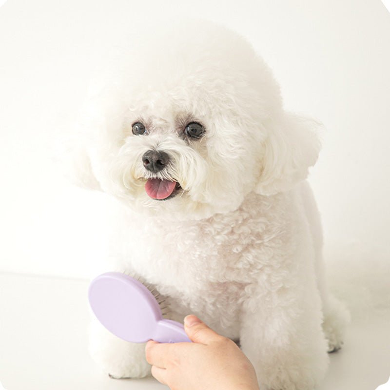 Bite Me Tiny Pin Brush - CreatureLand