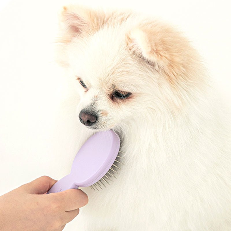 Bite Me Tiny Pin Brush - CreatureLand