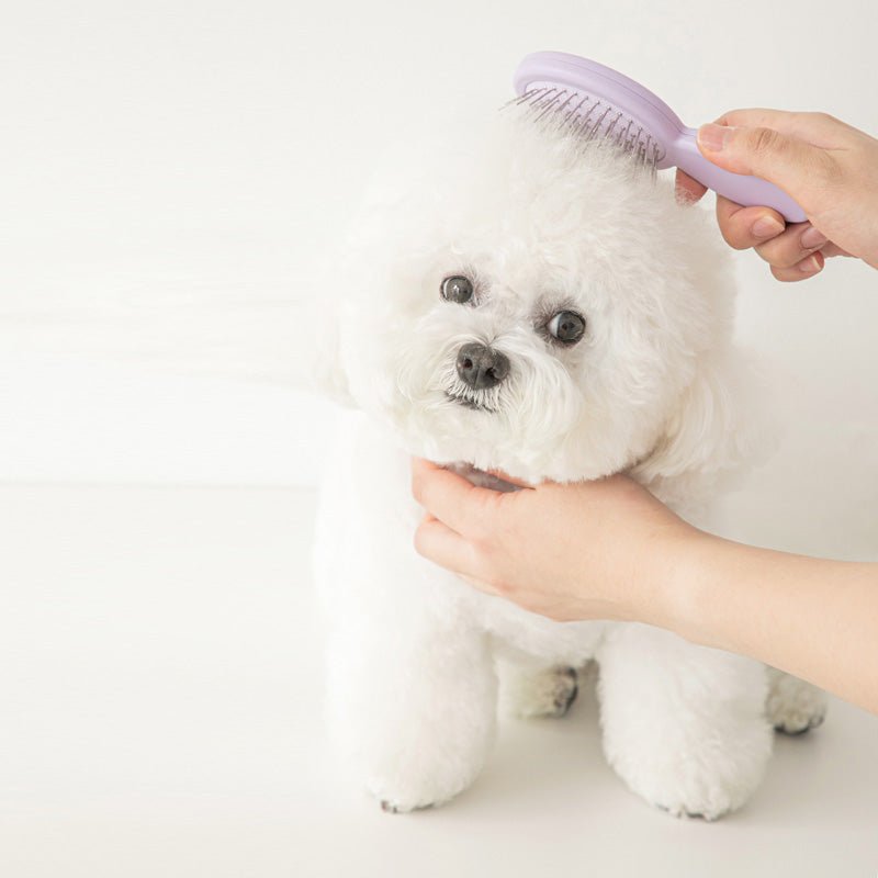 Bite Me Tiny Pin Brush - CreatureLand