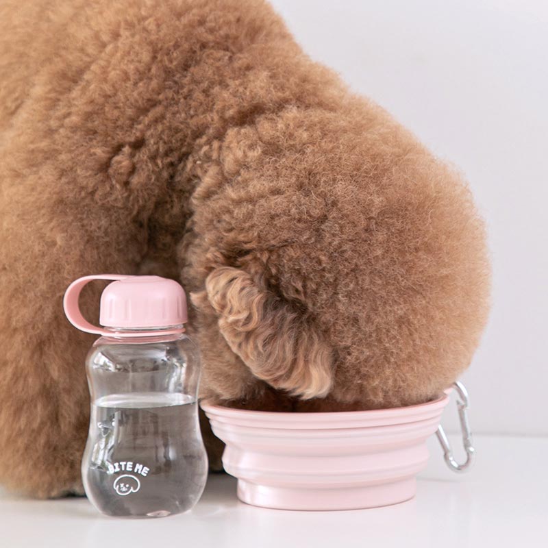 Bite Me Travel Baby Bottle (2 Colours) - CreatureLand