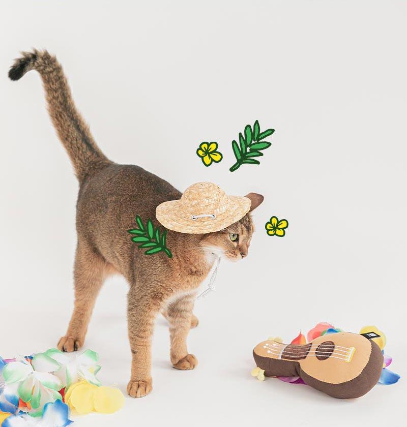 Bite Me Ukulele Matatabi Cat Toy - CreatureLand