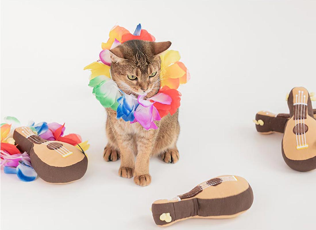Bite Me Ukulele Matatabi Cat Toy - CreatureLand