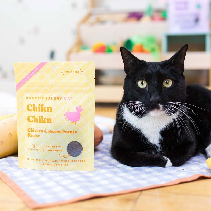 Bocce's Bakery Chikn Chikn Soft & Chewy Cat Treats | Chicken & Sweet Potato - CreatureLand