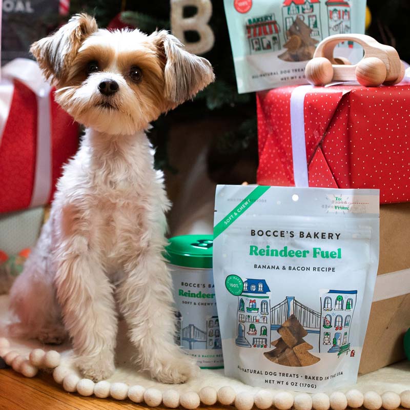 Bocce's Bakery Reindeer Fuel Soft & Chewy Dog Treats - 170g - CreatureLand