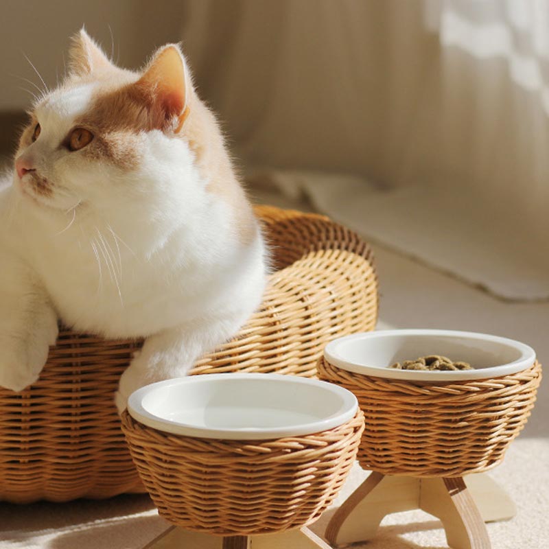 CatsCity Rattan & Ceramic Elevated Feeder - CreatureLand