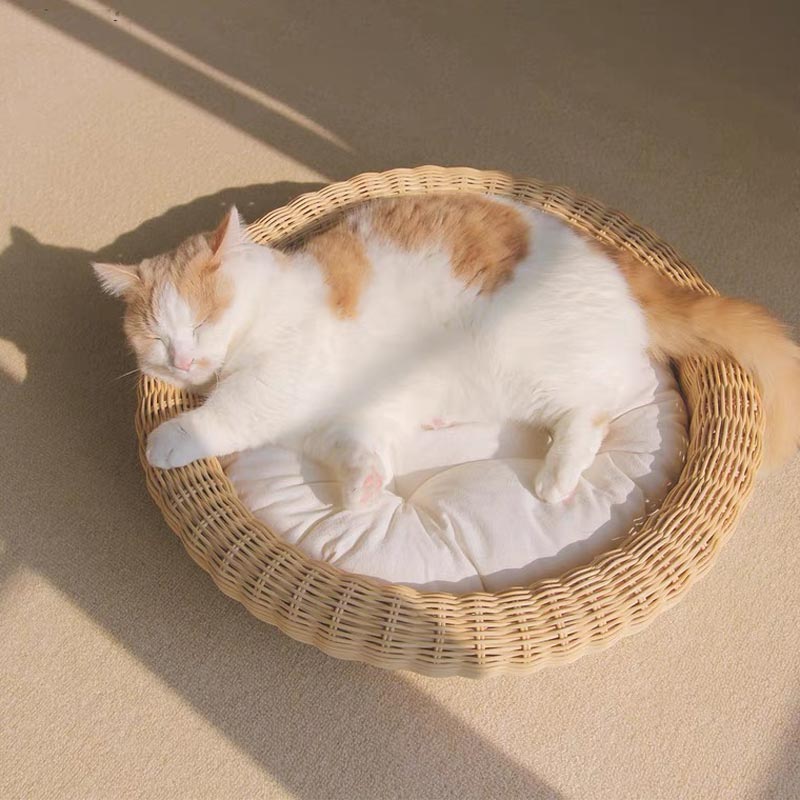 CatsCity Rattan Circle Pet Bed - CreatureLand