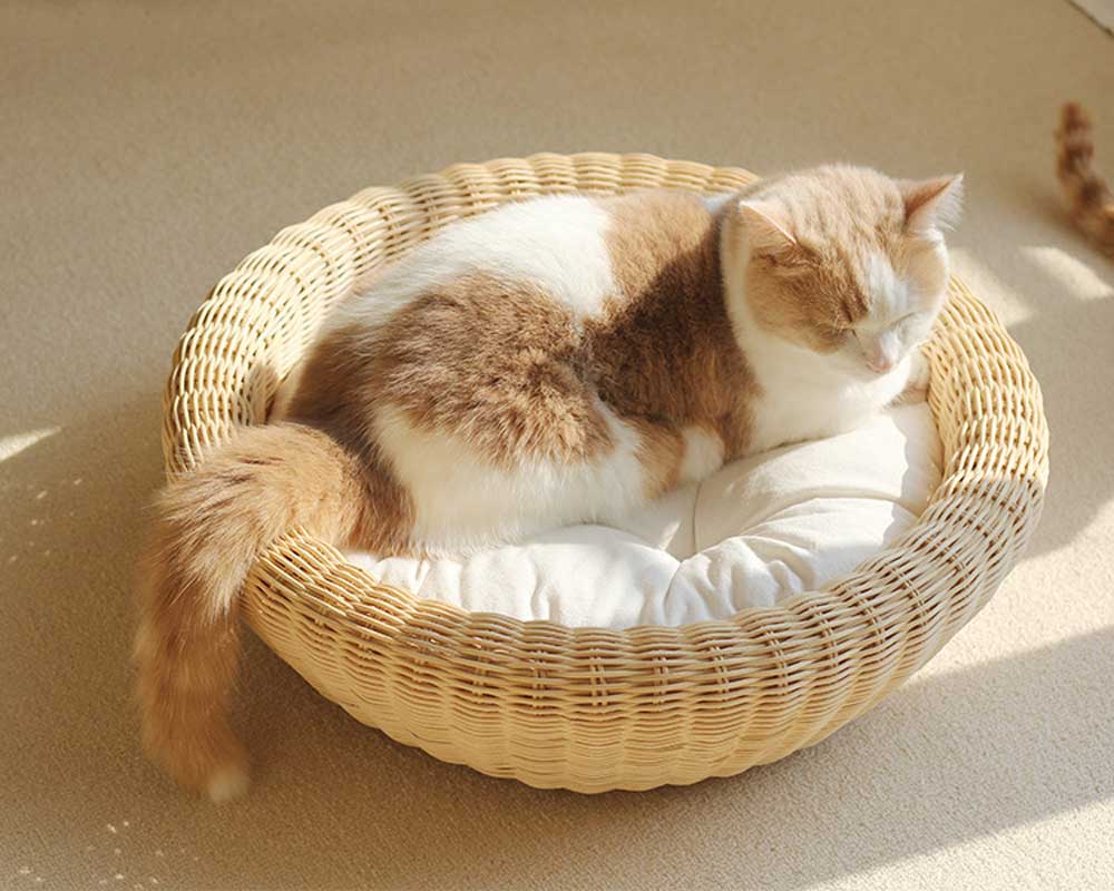 CatsCity Rattan Circle Pet Bed - CreatureLand