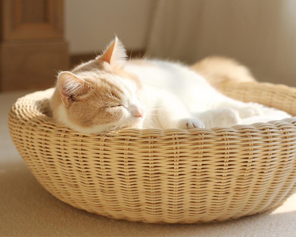 CatsCity Rattan Circle Pet Bed - CreatureLand