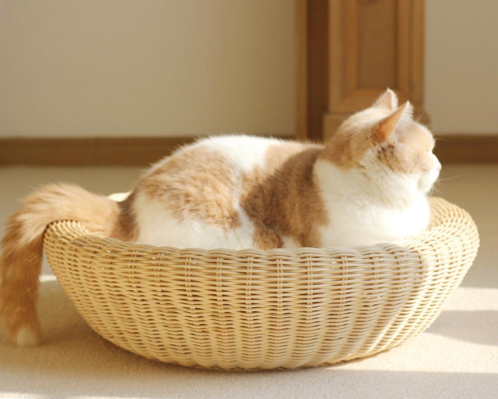 CatsCity Rattan Circle Pet Bed - CreatureLand
