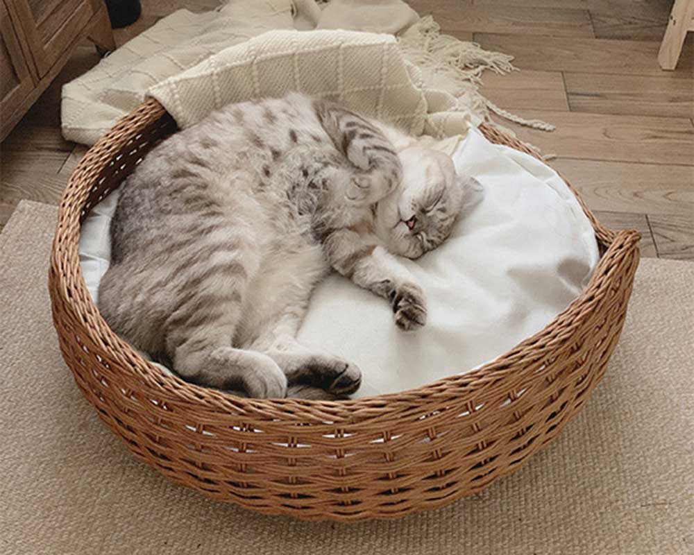 CatsCity Rattan Nest Pet Bed - CreatureLand