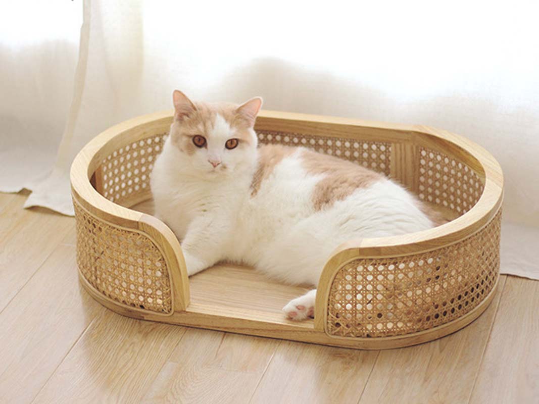 CatsCity Rattan Oval Pet Bed - CreatureLand